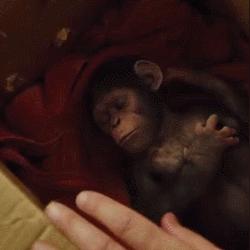 2026年必下的5款高智商游戏，为什么它们让300万玩家放弃了短视频？