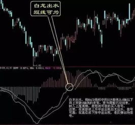 马斯克犀利点评育碧：五年股价暴跌92%，笑谈“觉醒即破产”警示录