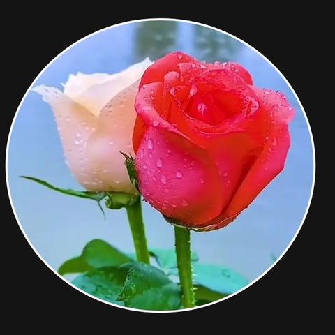 微信新功能上线：头像可改写，个性化互动新体验