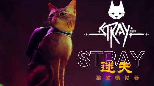 迷失Stray隐藏结局破防？猫玩家必看的「墙缝密码」与人性隐喻