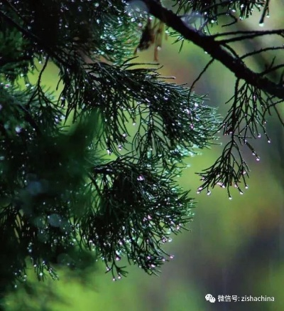 暮雨今夕里的雨为什么总下不完？我刷了5遍才懂，每滴雨都是未完成的告别