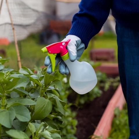 植物大战僵尸2中文版隐藏关通关率骤降？老玩家3个冷操作把难度打回新手局