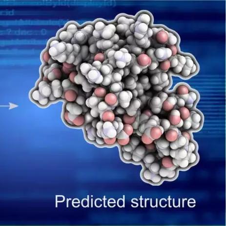 iPhone Fold真全面屏首曝:颠覆视觉体验的全新设计! iPhone Fold真全面屏首曝:颠覆视觉体验的全新设计!