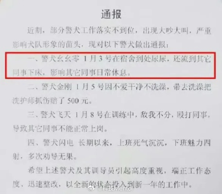 警方通报：警犬违规事件引发社会关注，殴打同事、床上尿尿行为引热议