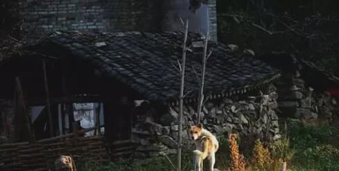 《埃博拉村庄》1月23日发售，惊悚探险新体验来袭