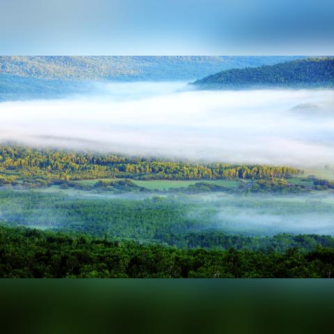 狩猎玩家必看，当前版本最强打猎枪为何是这把？附3种实战配装直接抄