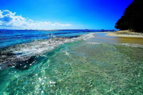 女高管海岛养鱼27日，揭秘零花费生活新境界