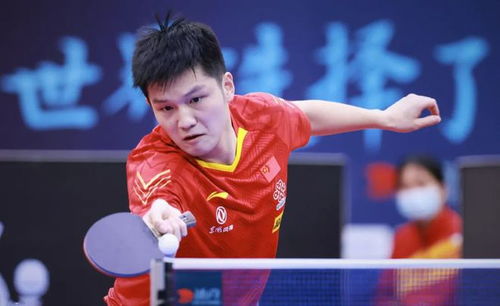 樊振东路捐善举，五年累计280万显爱心