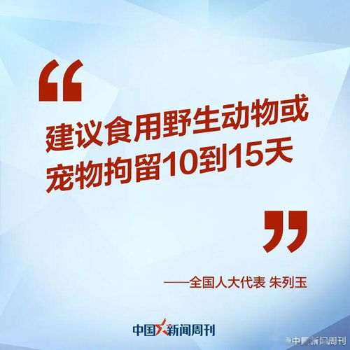 资深员工辞职心声：B社理念裂变，工作室扩张引深思