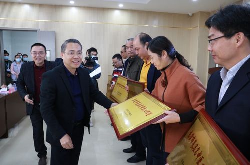 资深员工辞职心声：B社理念裂变，工作室扩张引深思