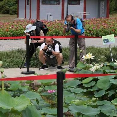 圆明园幸存古莲突然开花!藏在游戏里的文明复苏密码你看懂了吗? 圆明园幸存古莲突然开花!藏在游戏里的文明复苏密码你看懂了吗?