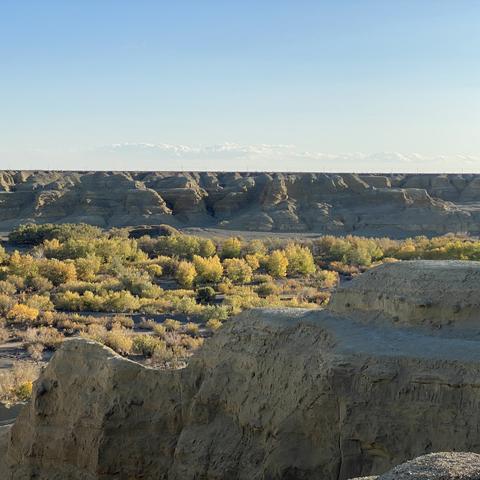 黑色沙漠玩家必看，你刷的怪、挖的矿，藏着多少没摸到的赚钱门道？