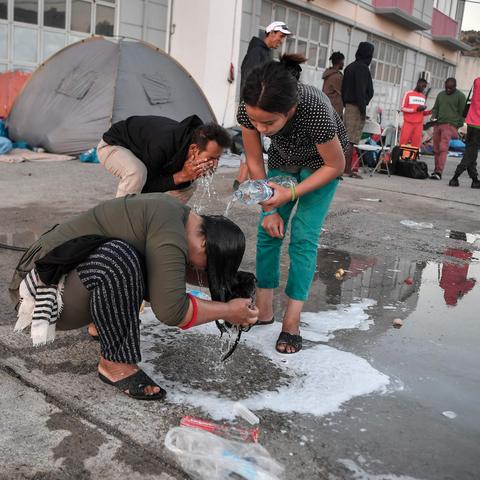 死亡岛联机总翻车？老玩家用3年实战总结的5个生存密码