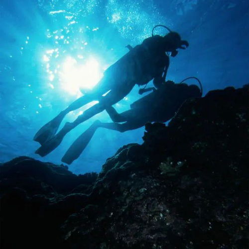 新婚潜水悲剧背后，像玩生存游戏那样守住队友，你真的会吗？