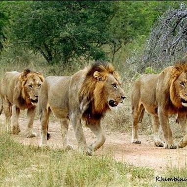 黑手党2还能流畅玩吗？2026年最新配置门槛与优化技巧实测