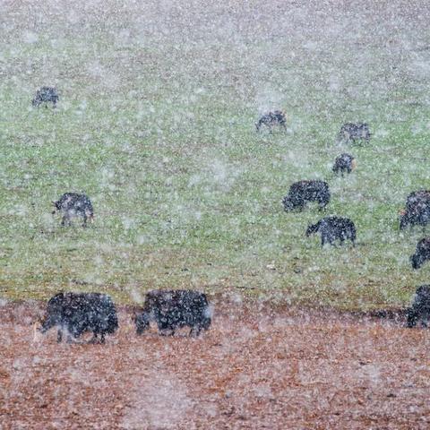 《心之眼》全新升级，22人秘境探险，探秘新境界！