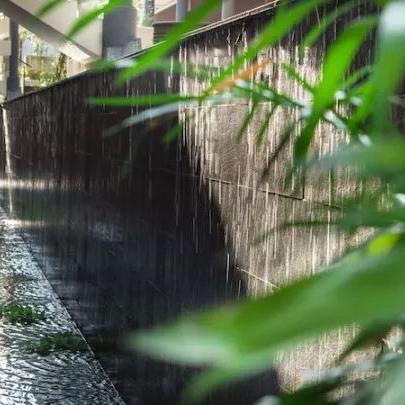 《心之眼》全新升级，22人秘境探险，探秘新境界！