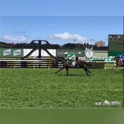 赛马娘5年巅峰，拯救世界赛马业，年轻玩家新宠来袭