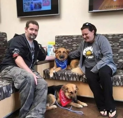 《三男一狗》NPC遭遇揭秘：热议背后惨状引深思