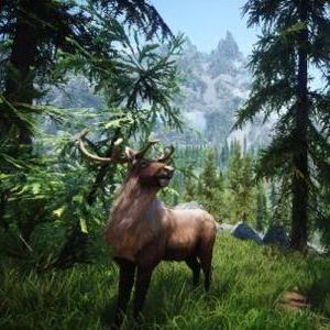 上古卷轴5美女MOD,老玩家私藏3个月的天际颜值革命,为什么比你装的都香? 上古卷轴5美女MOD,老玩家私藏3个月的天际颜值革命,为什么比你装的都香?