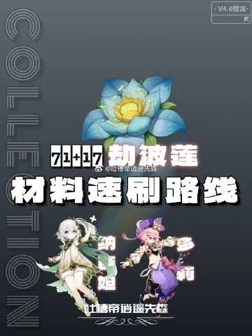 一、先搞懂！劫波莲的基础刷新规律（避免白跑）