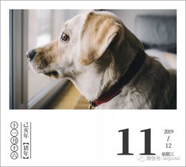 当初求种像条狗？现在老玩家都用这3招彻底告别资源焦虑