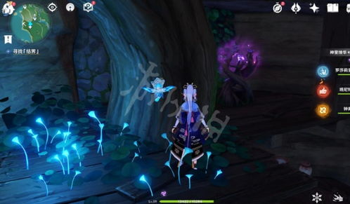 原神神樱大祓，破解第二个结界的奇妙之旅