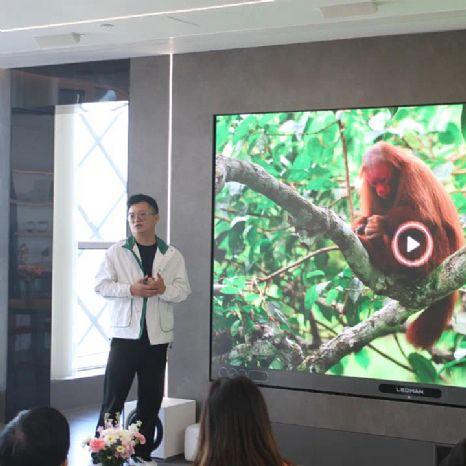 《雷曼30周年纪念版》PS5/NS版全新升级，沉浸式体验再创新高