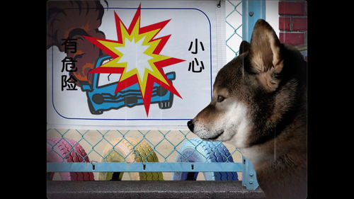 为什么老玩家都在查344.75？这才是游戏帧数稳如狗的关键