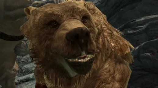 上古卷轴5熊皮到底值不值刷？老玩家用30小时实战算出收益账