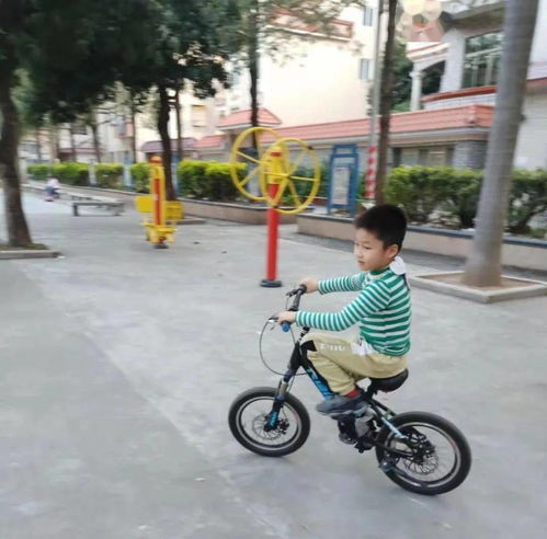 车王舒马赫现状：轮椅生活展现坚韧精神