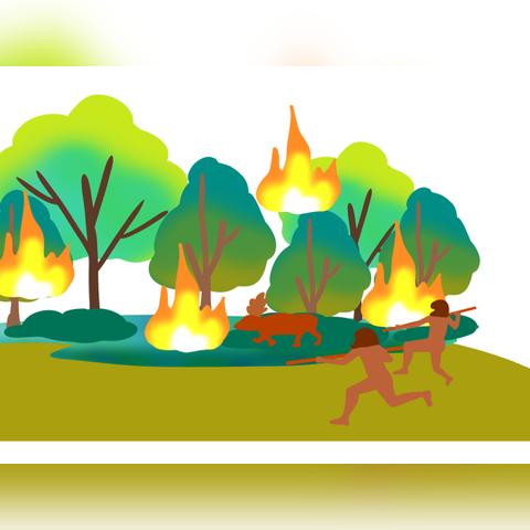 森林狩猎玩家都在藏的3个致胜秘密，为什么你打不到黄金猎物？