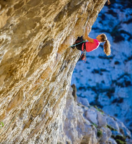 台北101攀岩奇观：美攀岩家徒手挑战，报酬揭秘引关注