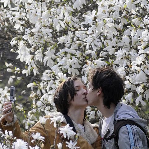 游戏论坛网藏着多少玩家不知道的通关密码？老炮用3个月实战扒出核心玩法