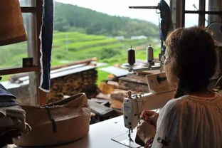 醉汉奇袭影坛名树，全球热议无家可归树新篇章