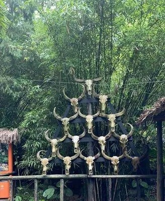 风图腾到底藏着多少游戏秘密？老玩家不愿说的3个实战破局点