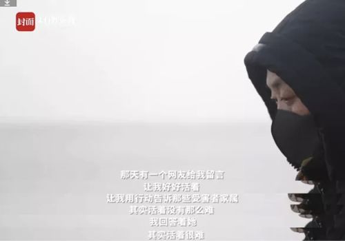 王子坚忍断腿敬业，重制取消配音心碎揭秘新价值