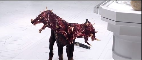 《生化危机9》里昂栩栩如生：细节打磨，再现颈部纹路艺术