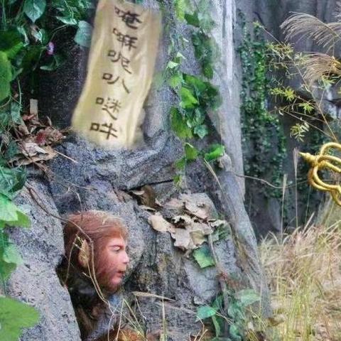 悟空40年激战胜率揭秘：震撼数据令人瞠目结舌