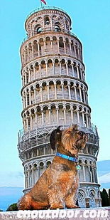 银河城探险记：披萨大师解密斜塔之谜