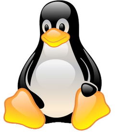Linux传承新篇章：Linus Torvalds接班计划保障未来