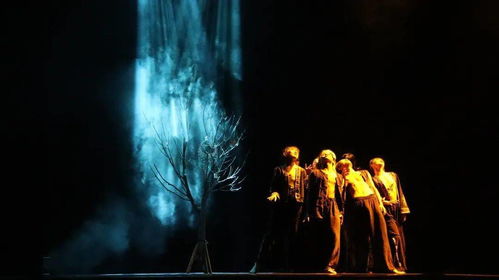 马蹄声声迎贵客,踏浪而来显尊荣 马蹄声声迎贵客,踏浪而来显尊荣