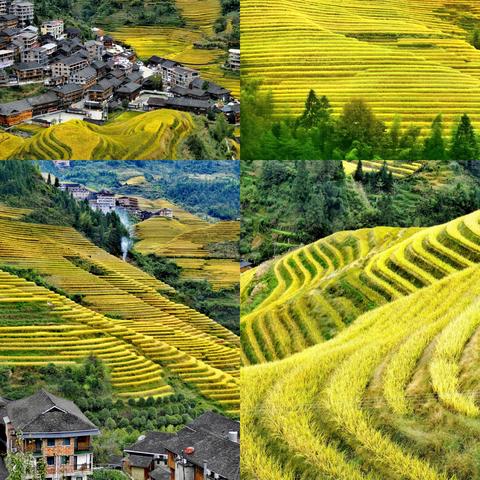 夜生活之曲下载避坑指南，为什么90%玩家都栽在这3个环节？