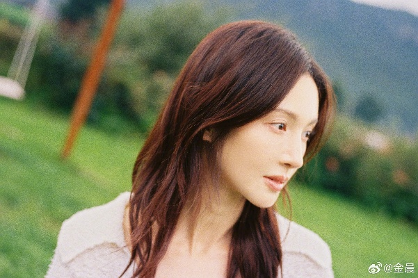 金晨事件保险理赔流程揭秘，网传报警真相解析