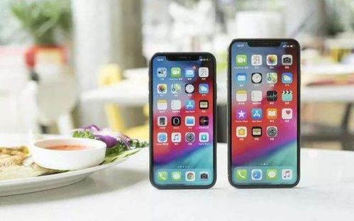 iPhone17中国热销，库克笑开颜，市场强势复苏再创新高