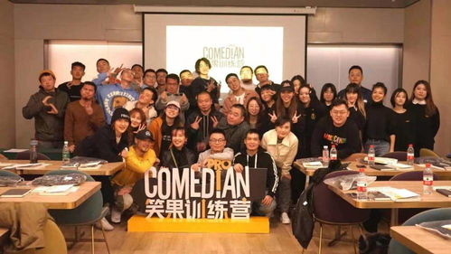 金晨无公关机会,揭秘多人联手幕后真相 金晨无公关机会,揭秘多人联手幕后真相