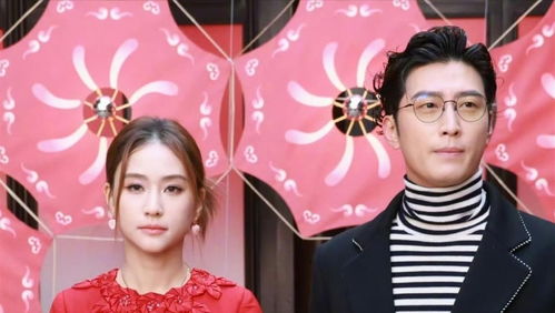 金晨无公关机会,揭秘多人联手幕后真相 金晨无公关机会,揭秘多人联手幕后真相