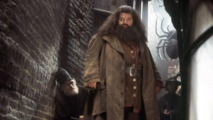 狂祈新哈利波特海格演员诞生，助力演艺事业腾飞