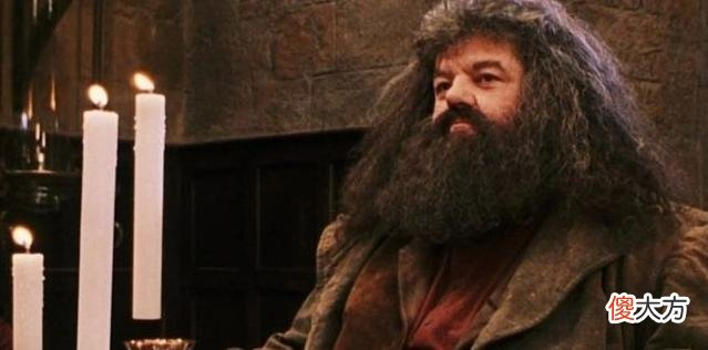 狂祈新哈利波特海格演员诞生，助力演艺事业腾飞