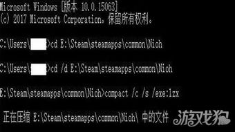 仁王3卡顿破解秘籍：高效解决间歇性卡顿难题